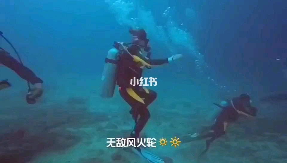 阿拉亚