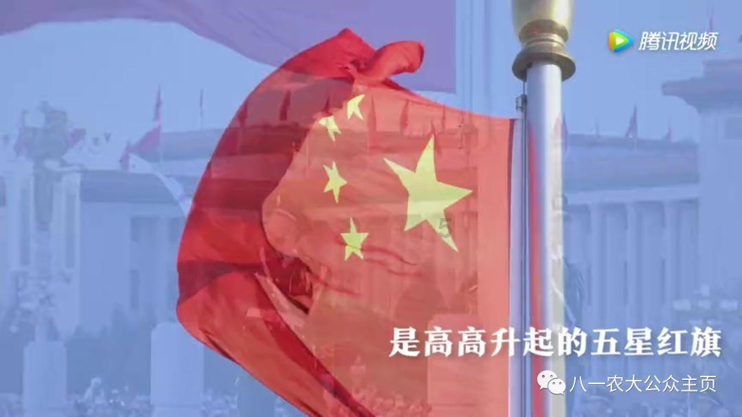 逃离天鹅森林
